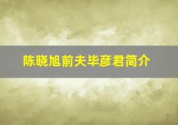 陈晓旭前夫毕彦君简介