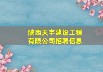 陕西天宇建设工程有限公司招聘信息