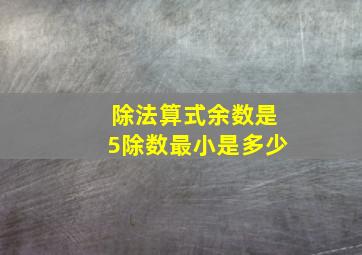 除法算式余数是5除数最小是多少