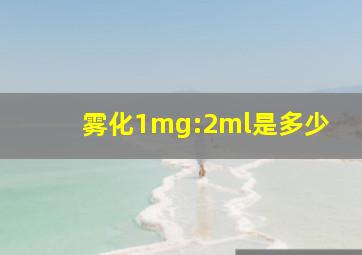 雾化1mg:2ml是多少