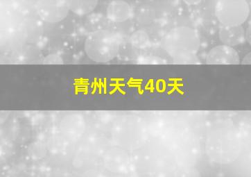 青州天气40天