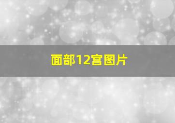 面部12宫图片