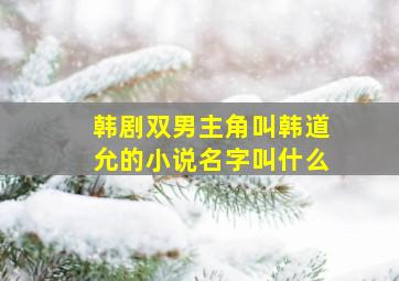 韩剧双男主角叫韩道允的小说名字叫什么