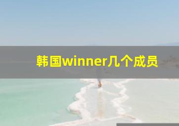 韩国winner几个成员