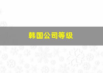 韩国公司等级