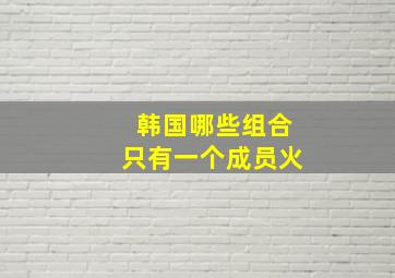 韩国哪些组合只有一个成员火