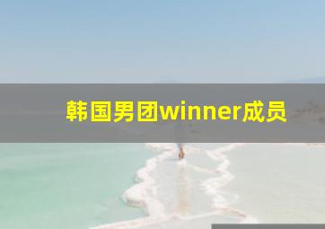 韩国男团winner成员