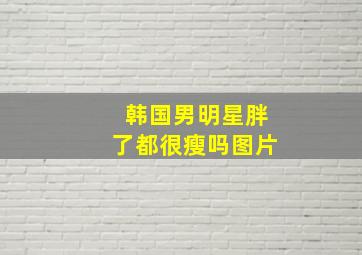 韩国男明星胖了都很瘦吗图片