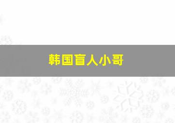 韩国盲人小哥