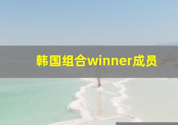 韩国组合winner成员