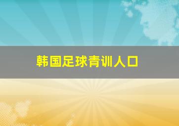 韩国足球青训人口