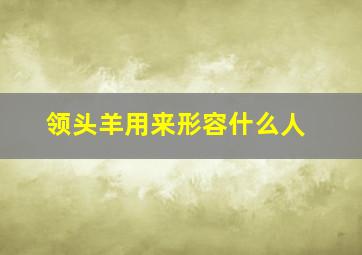 领头羊用来形容什么人