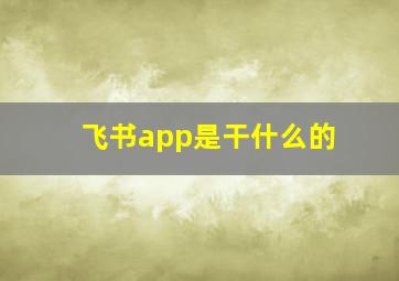 飞书app是干什么的