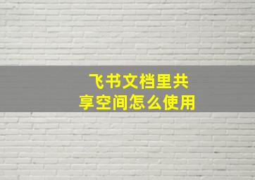 飞书文档里共享空间怎么使用