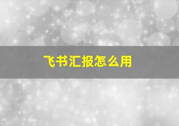 飞书汇报怎么用