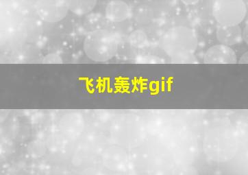 飞机轰炸gif