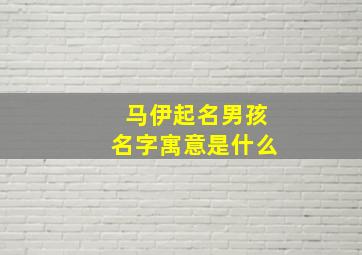 马伊起名男孩名字寓意是什么