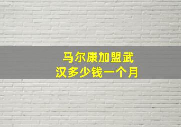 马尔康加盟武汉多少钱一个月