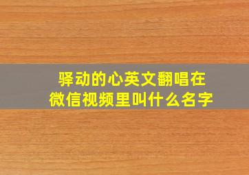 驿动的心英文翻唱在微信视频里叫什么名字