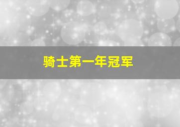 骑士第一年冠军