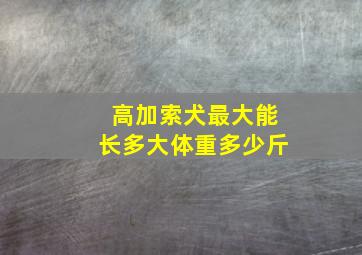 高加索犬最大能长多大体重多少斤