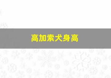 高加索犬身高