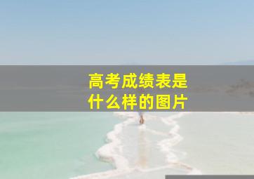 高考成绩表是什么样的图片