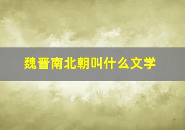 魏晋南北朝叫什么文学