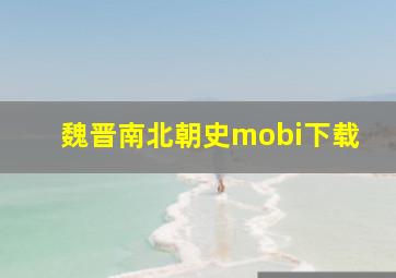 魏晋南北朝史mobi下载