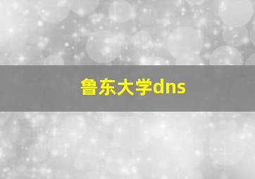 鲁东大学dns