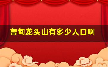 鲁甸龙头山有多少人口啊