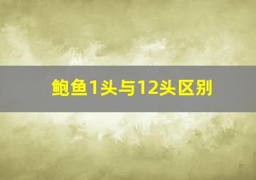 鲍鱼1头与12头区别