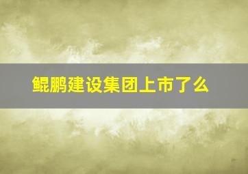 鲲鹏建设集团上市了么