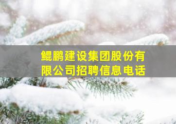 鲲鹏建设集团股份有限公司招聘信息电话