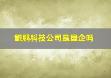 鲲鹏科技公司是国企吗