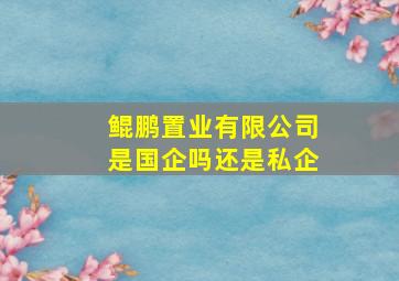 鲲鹏置业有限公司是国企吗还是私企