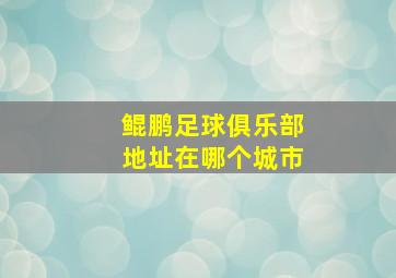 鲲鹏足球俱乐部地址在哪个城市