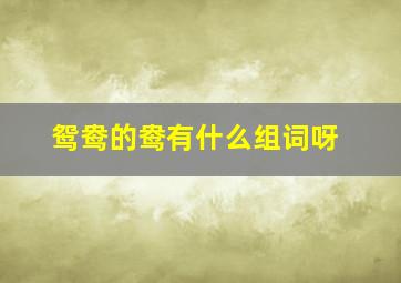 鸳鸯的鸯有什么组词呀