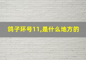 鸽子环号11,是什么地方的