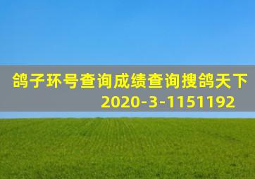 鸽子环号查询成绩查询搜鸽天下2020-3-1151192