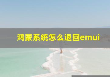 鸿蒙系统怎么退回emui