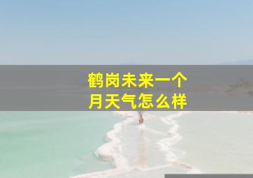 鹤岗未来一个月天气怎么样