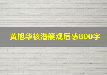 黄旭华核潜艇观后感800字