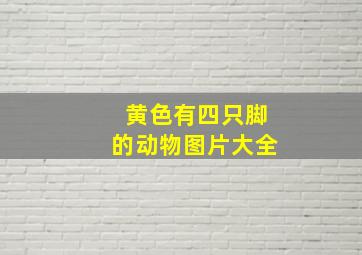 黄色有四只脚的动物图片大全