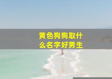 黄色狗狗取什么名字好男生