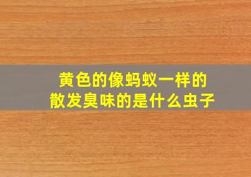 黄色的像蚂蚁一样的散发臭味的是什么虫子