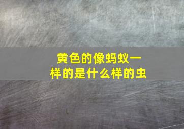 黄色的像蚂蚁一样的是什么样的虫