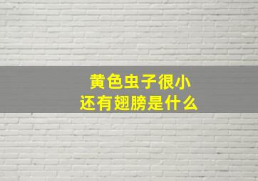 黄色虫子很小还有翅膀是什么