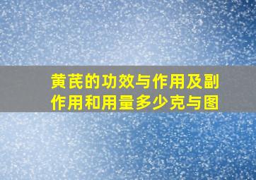 黄芪的功效与作用及副作用和用量多少克与图