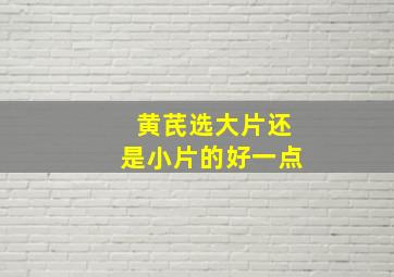 黄芪选大片还是小片的好一点